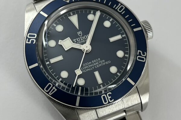 海を感じるブルーが魅力的な一本 Ref.79030B-0001