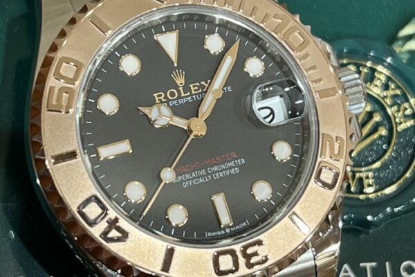 個性と高級感を併せ持つ魅力的なモデル　Ref.268621