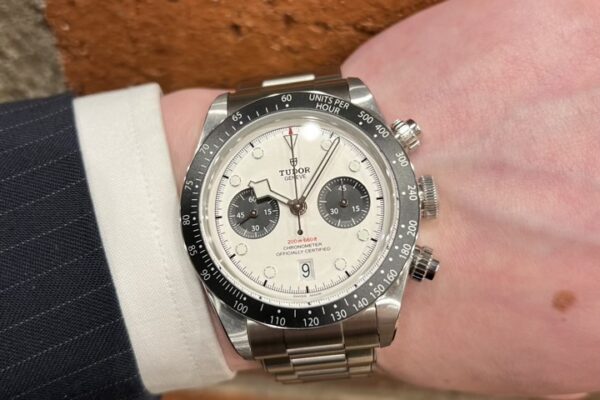 爽やかな色合いの存在感のある一本　Ref.79360N-0002